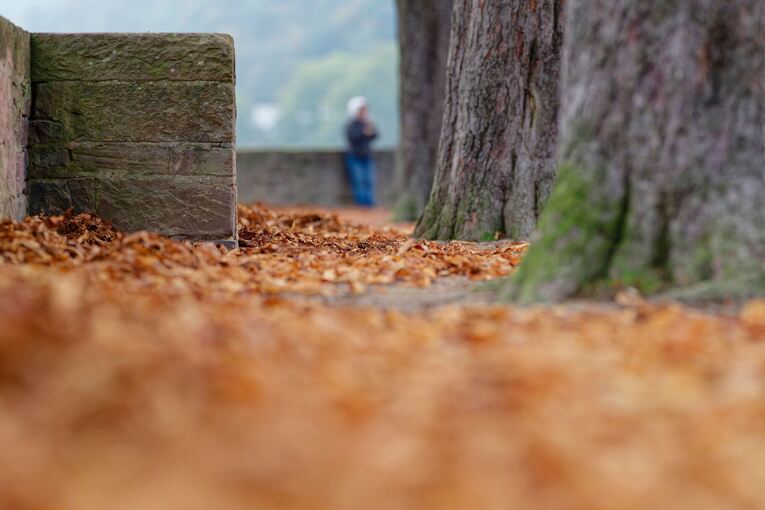 Herbst in Baden-Württemberg  - Wetter