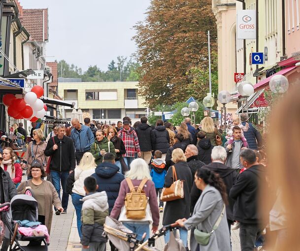 Volle Fußgängerzone beim Kastanienbeutelfest in Ludwigsburg.