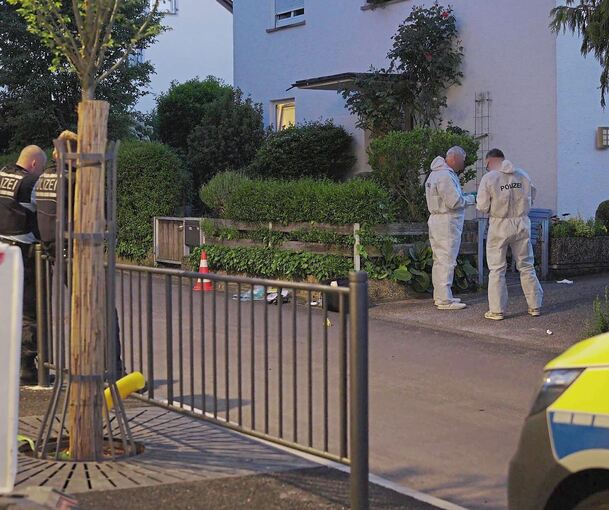 Erst in Ludwigsburg, ohne Verletzte, dann in Tamm, mit einem schwer verletzten Opfer: Was steckt hinter den Schüssen im Frühjahr?