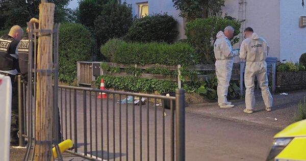 Erst in Ludwigsburg, ohne Verletzte, dann in Tamm, mit einem schwer verletzten Opfer: Was steckt hinter den Schüssen im Frühjahr?