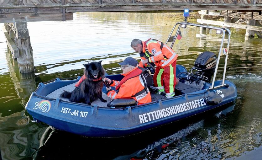 Suche nach vermisstem Achtjährigen mit Suchhund