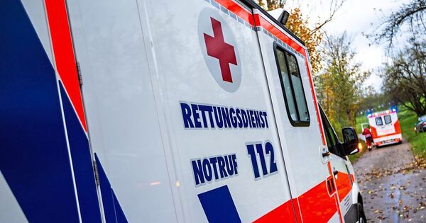 Auto-berschl-gt-sich-18-J-hrige-kommt-in-Markgr-ningen-von-Fahrbahn-ab