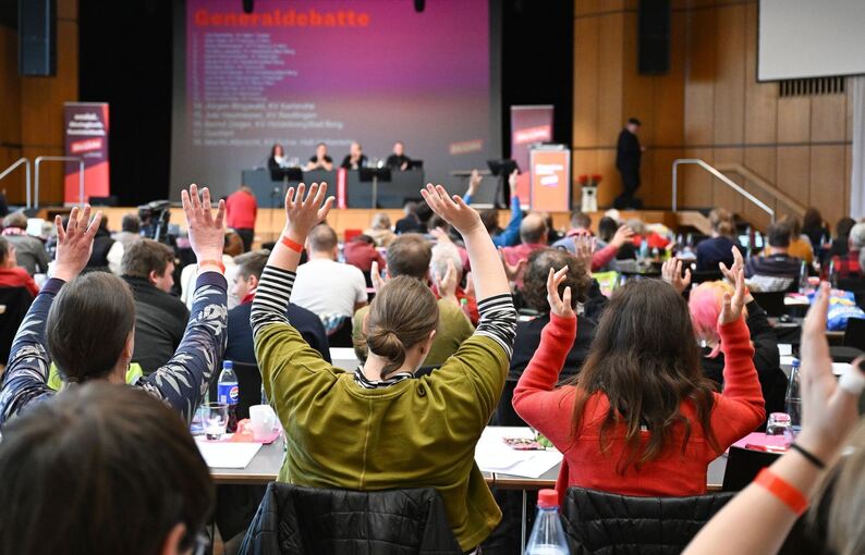 Landesparteitag Die Linke Baden-Württemberg