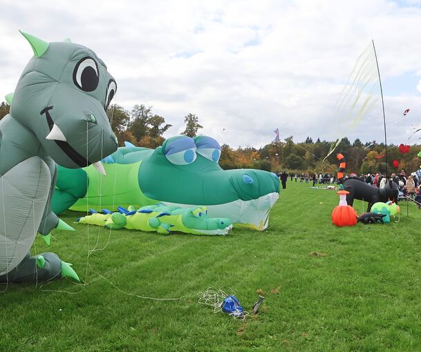 Sebastian Fischer aus Möglingen nährt die großen Drachen selbst.