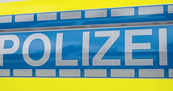Steinheim-Mann-l-sst-Hose-runter-und-ornaniert