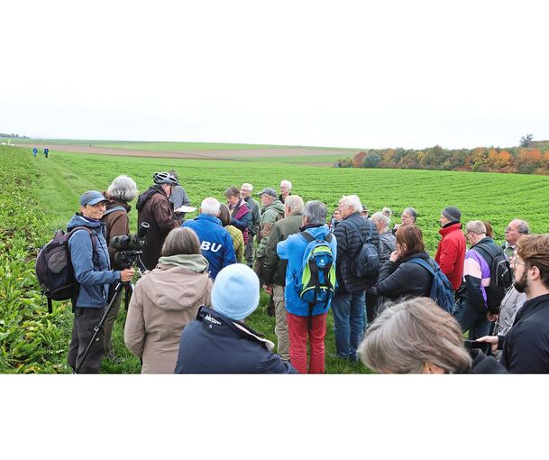 Vertreter vieler Naturschutzverbände und Interessierte bei einer Besichtigung des Regenpfeiferackers bei Hemmingen.