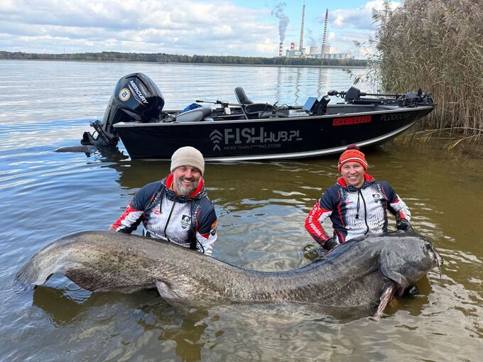 Riesiger Wels in Polen gefangen