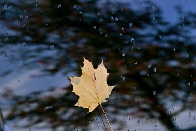Herbstwetter