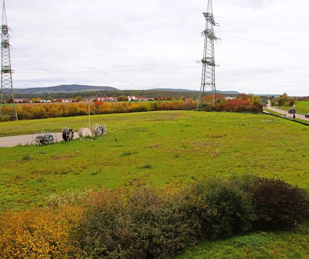 Dieses Grundstück an der Kreisstraße nach Kleinglattbach verkauft die Stadt zum Bau einer Moschee in Vaihingen.