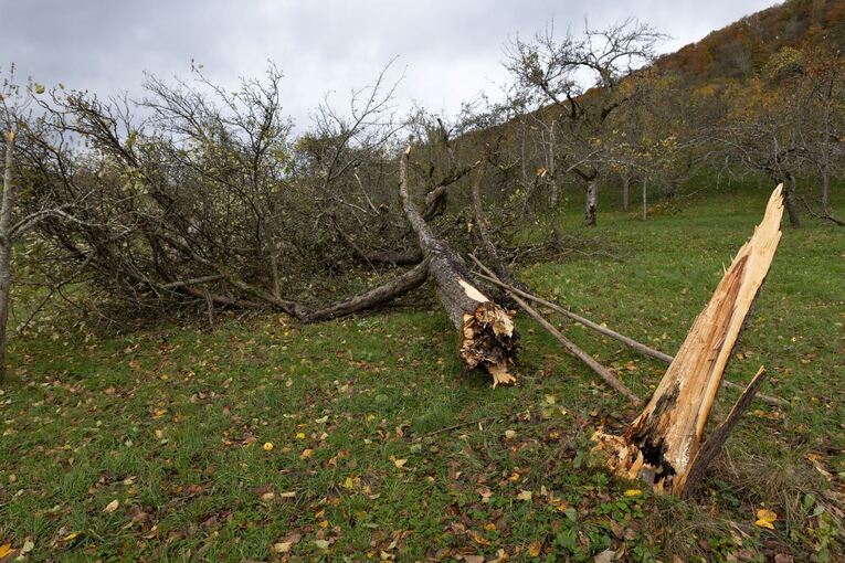 Sturmtief "Joshua" - Baden-Württemberg Sturmtief "Joshua" - Baden-Württemberg
