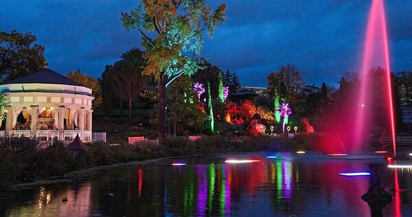 Mit Lichtern und Farben wird das abendliche Blühende Barock in Szene gesetzt.