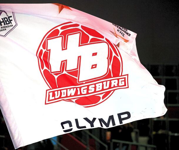 Bild der Vergangenheit: Die HBL-Fahne bei Profispielen.