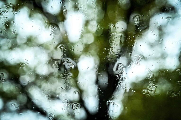 Regen in Niedersachsen Regen in Niedersachsen