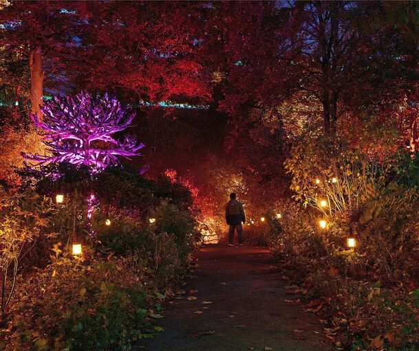 Das Blühende Barock ist in verschiedene Lichter getaucht.