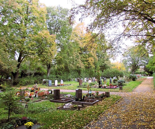 Ein dichtes Grabfeld auf dem Eglosheimer Friedhof. So sieht es nicht mehr überall aus.