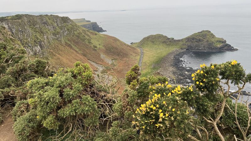 202510-LKZ-Leserreisen-GB-Irland (45)