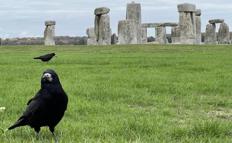 202510-LKZ-Leserreisen-GB-Irland (76)