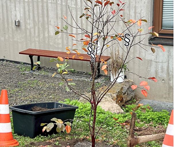 Für die Pflanzaktion wurde ein Zierapfelbaum ausgewählt. Für die Pflanzaktion wurde ein Zierapfelbaum ausgewählt.