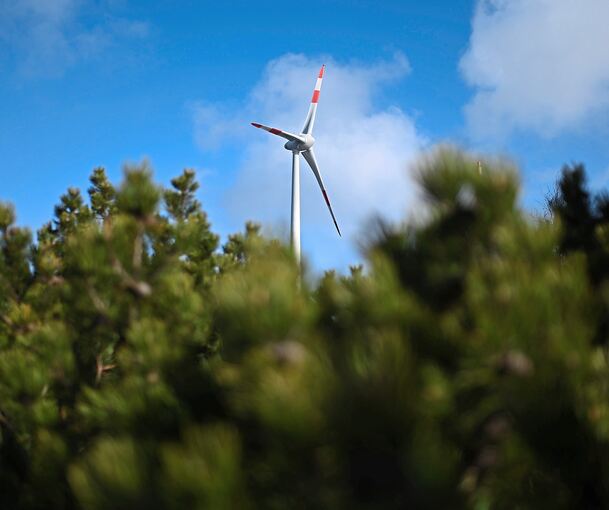 Drehen sich im Hardtwald bald Windräder? Eine Bürgerinitiative will das verhindern.