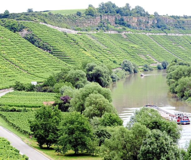 Die Steillagen in Hessigheim: Die Gemeinde fördert ihren Erhalt mit rund 22.350 Euro.