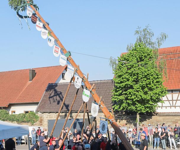 Maibaum Erligheim: neuer Platz für alte Tradition gesucht.