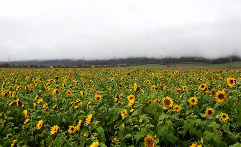 Wetter in Baden-Württemberg Wetter in Baden-Württemberg