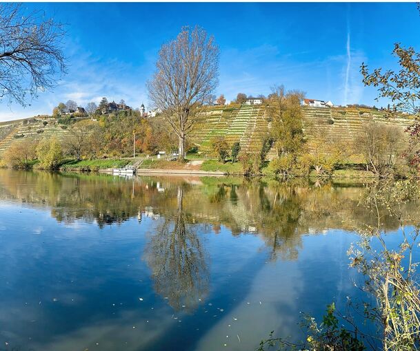 Der Neckar bei Ingersheim könnte Basis für ein Wärmenetz sein. Doch die Hauseigentümer sind zögerlich.