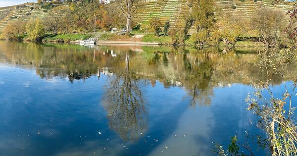 Heating with the Neckar: That remains a pipe dream in Ingersheim for now