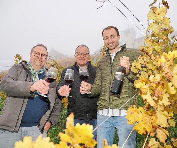 „Manchmal muss man halt ein bisschen verrückt sein“: Der Neu-Wengerter Alexander Spilner (links) mit den Hohenhaslacher Profis Reinhard und Josua Baumgärtner.