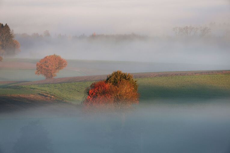 Wetter in Baden-Württemberg Wetter in Baden-Württemberg