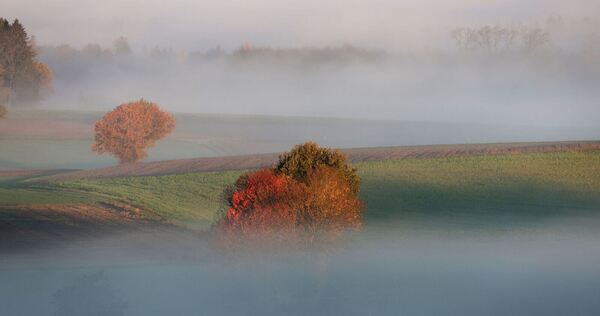 Wetter in Baden-Württemberg