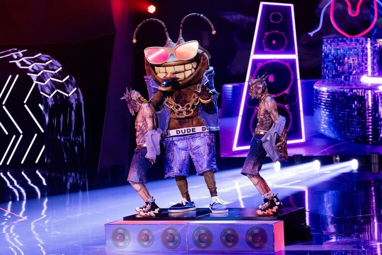 „The Masked Singer“ „The Masked Singer“