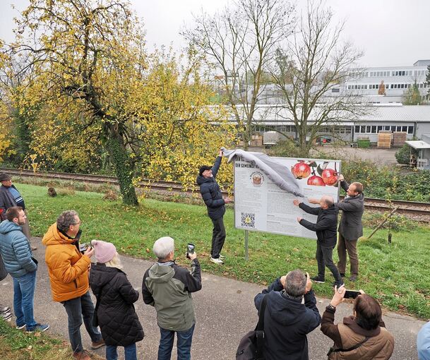 Der Luikensortengarten befindet sich am Bahngleis in Hemmingen. Am Samstag wurde eine große Infotafel über die Apfelsorte enthüllt.