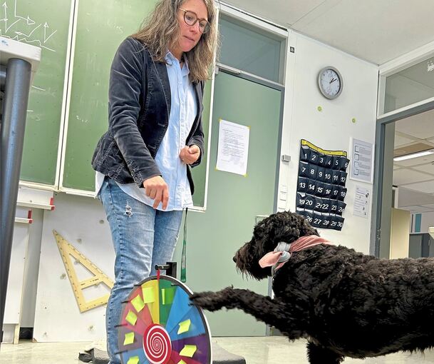 Keine Zirkusnummer: Hier lost Schulhund Willi gerade am Glücksrad aus, welcher Schüler die Frage von Lehrerin Melanie Föll beantworten muss.