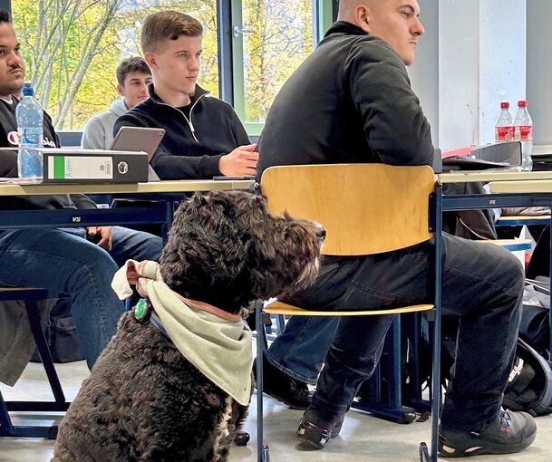 Als würde er genau zuhören, was die angehenden Maler und Lackierer lernen: Willi im Klassenzimmer.