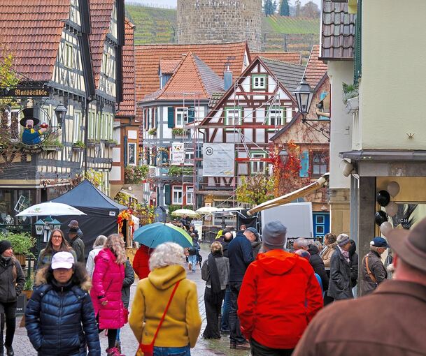 Die Besigheimer ließen sich vom schlechten Wetter nicht die Stimmung vermiesen und kamen in die Altstadt.