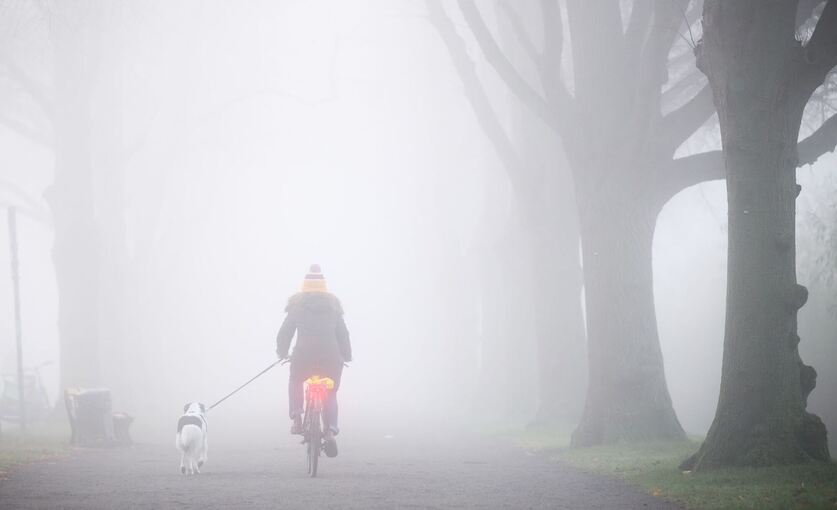 Herbst in Niedersachsen Herbst in Niedersachsen
