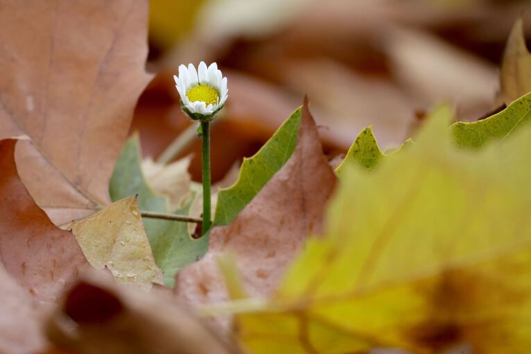 Wetter in Baden-Württemberg