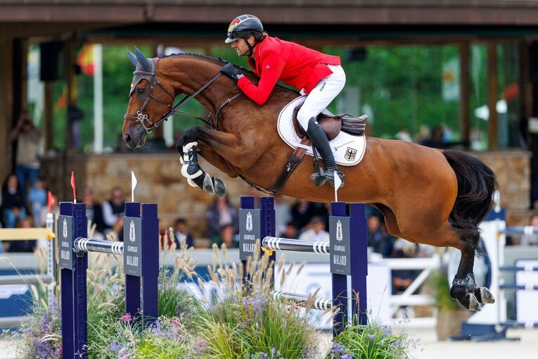 Pferdesport/Springen: Europameisterschaft Pferdesport/Springen: Europameisterschaft