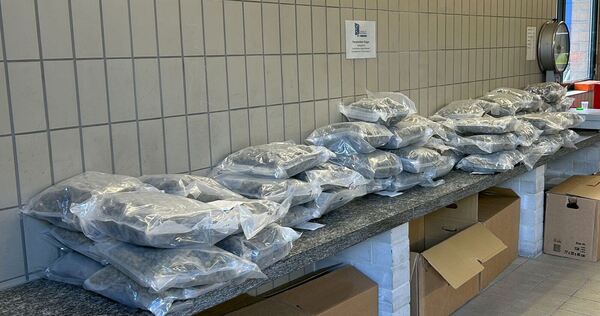 Beschlagnahmtes Marihuana liegt auf einem Tisch