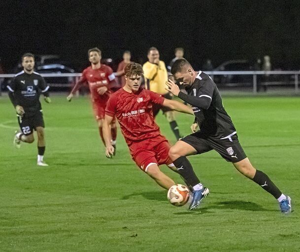 Die Fußballer des TASV Hessigheim dürfen sich bald über ein neues Geläuf freuen. Mit Fördergeldern des Bundes soll der Platz in einen Kunstrasen umgewandelt werden.