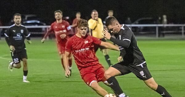 Die Fußballer des TASV Hessigheim dürfen sich bald über ein neues Geläuf freuen. Mit Fördergeldern des Bundes soll der Platz in einen Kunstrasen umgewandelt werden.