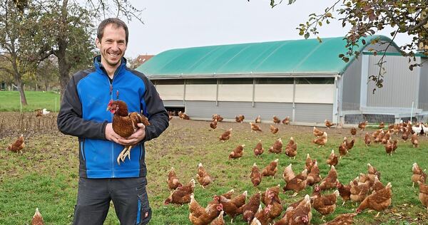 Florian Hirschmann inmitten seiner glücklichen Hühner mit Berta auf dem Arm. In zwei Ställen haben insgesamt 1700 Hühner Platz. Ab zehn Uhr geht‘s raus ins Freie. Noch.