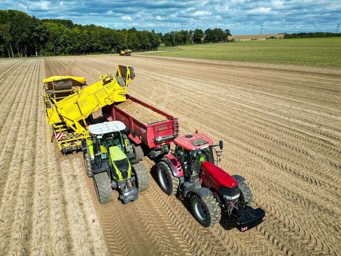 Kartoffelernte Kartoffelernte