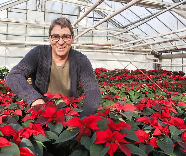 Bernd Hammer in einem seiner Gewächshäuser. Über die Zukunft des Areals macht er sich seit langem Gedanken.