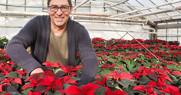 Bernd Hammer in einem seiner Gewächshäuser. Über die Zukunft des Areals macht er sich seit langem Gedanken.