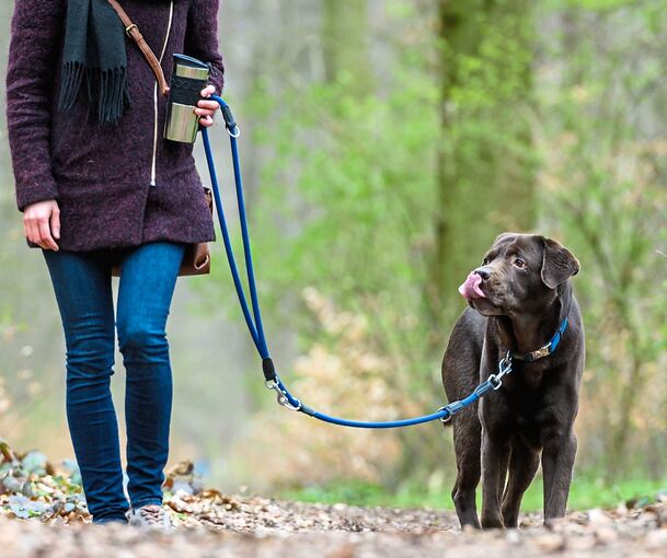 Hundebesitzer in Ludwigsburg müssen mit Beginn des neuen Jahres tiefer in die Tasche greifen. Die Hundesteuer steigt um zwölf Euro.