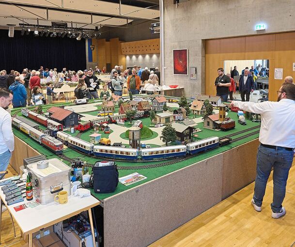 Die Modellbahntage in Freiberg lassen die Herzen der Miniatur-Eisenbahnfans höher schlagen.