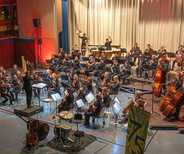 Jubiläumskonzert in großer Runde: Das Strohgäu-Sinfonieorchester in Schwieberdingen.