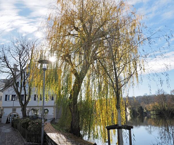Idyllisch gelegen: Weil die Vaihinger Mühle mal eine Wassermühle war, befindet sie sich direkt an der Enz.